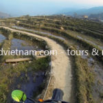 Vietnam dirt bike tours on rice paddy track to Sapa